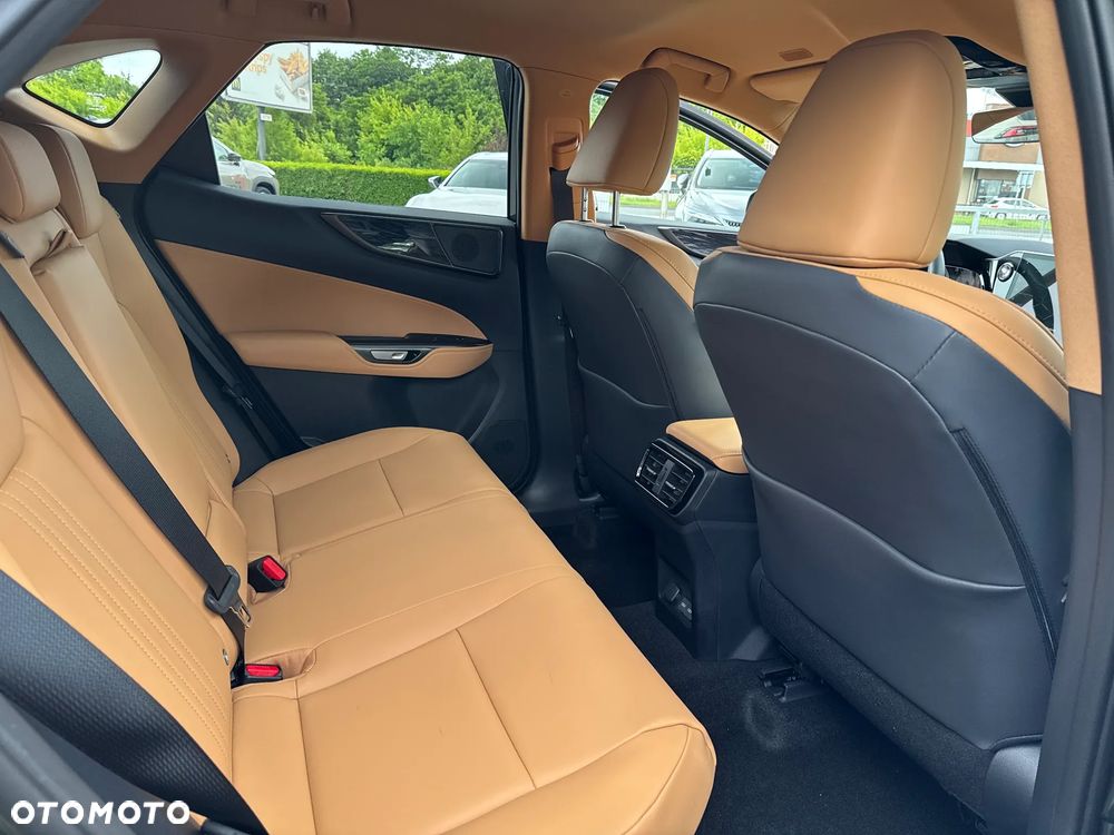 Lexus NX - 13