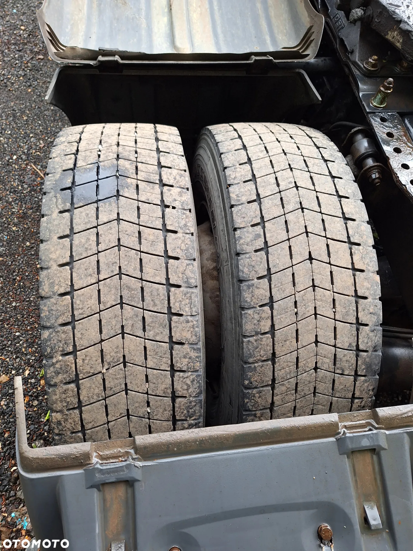 MAN TGX - 9