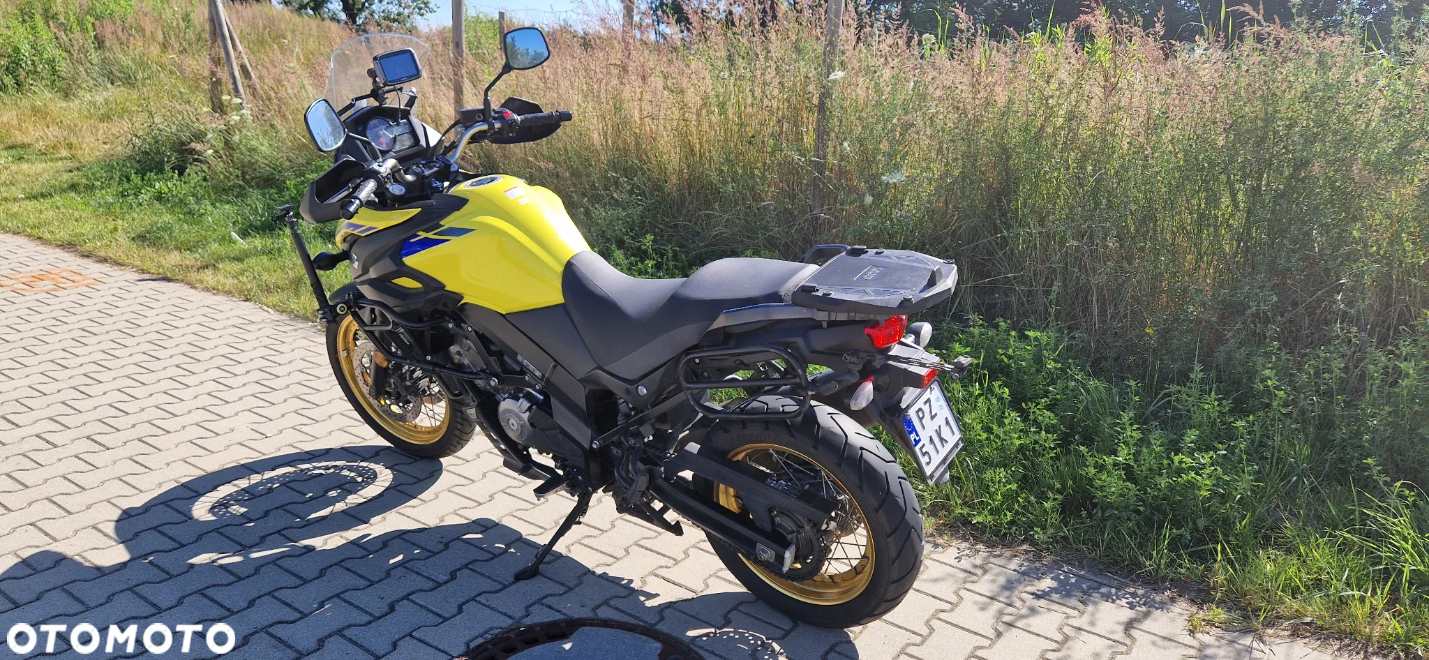 Suzuki DL