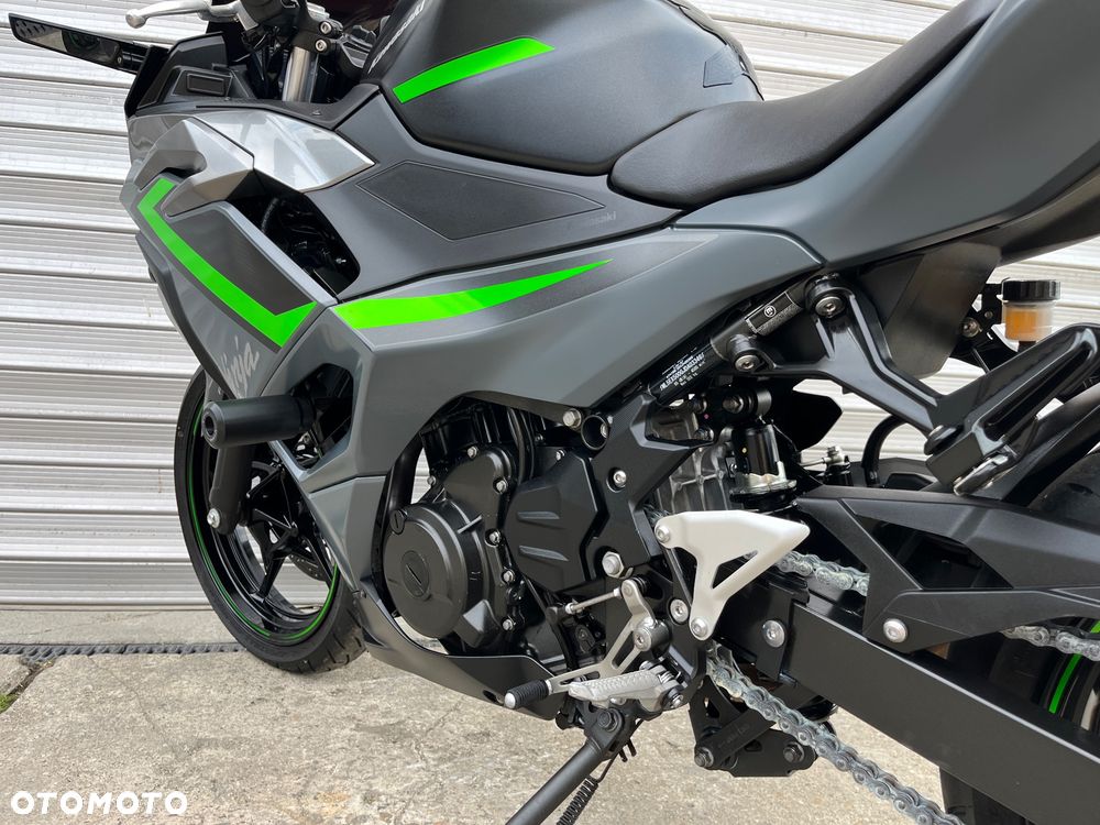 Kawasaki Ninja - 10