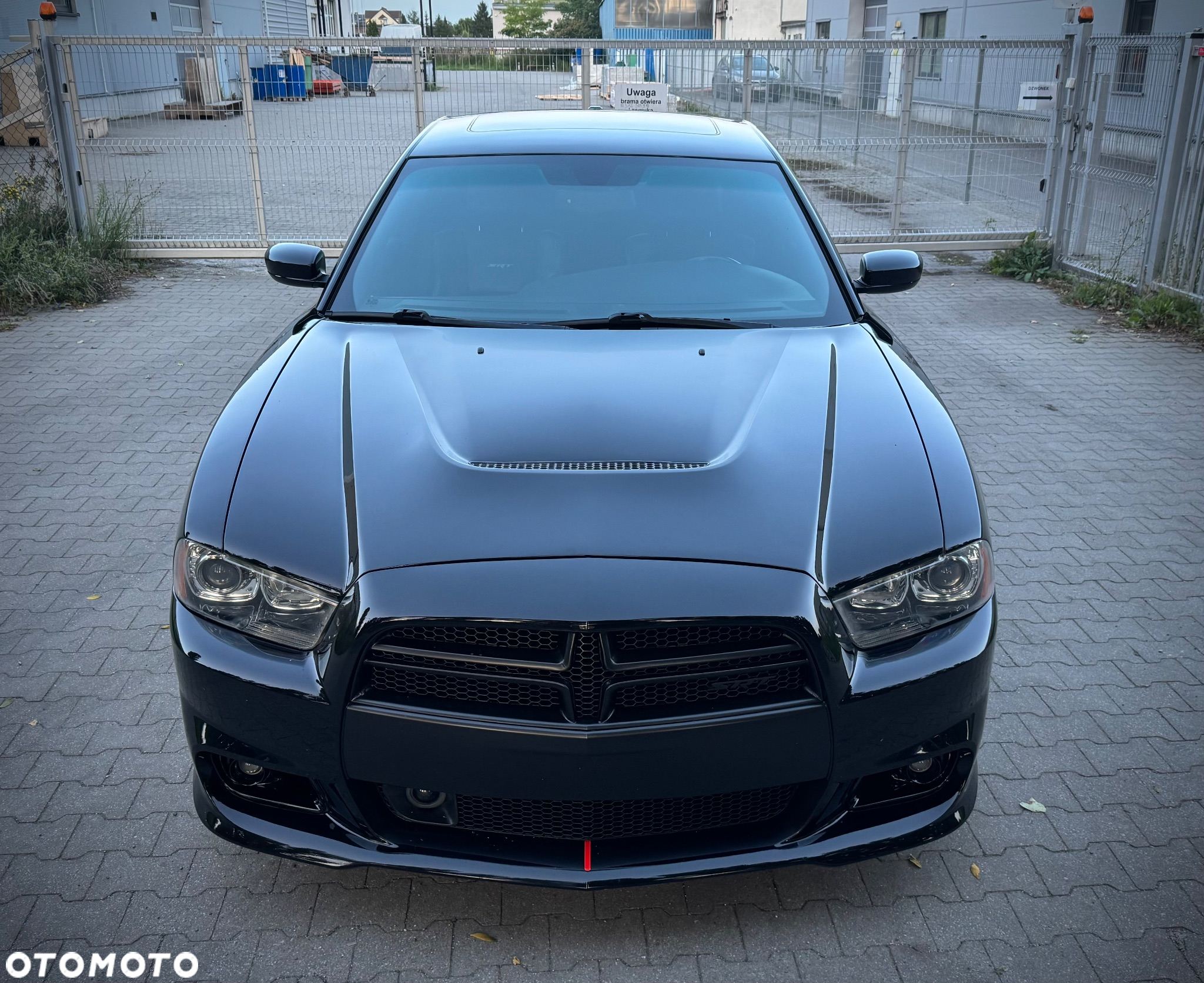 Dodge Charger Automatik SRT 392 - 4