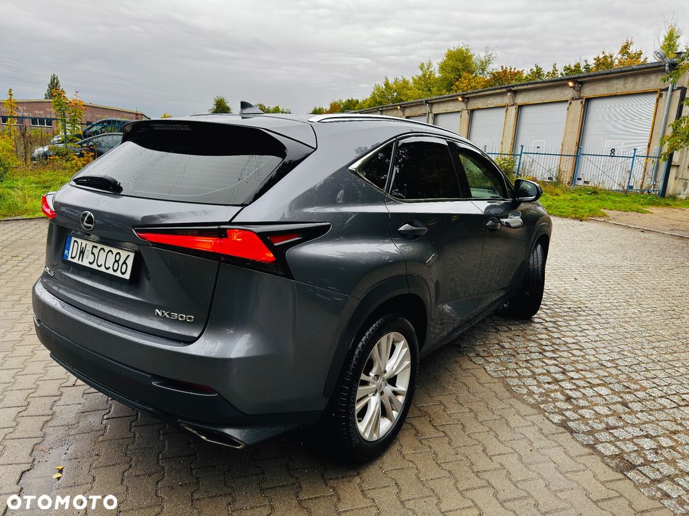 Lexus NX - 6