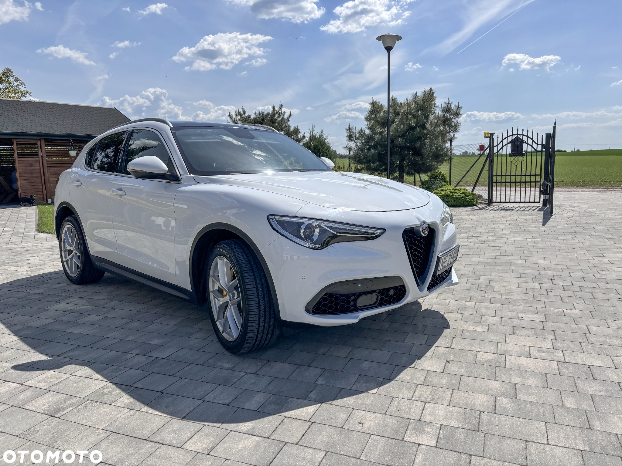 Alfa Romeo Stelvio 2.0 Turbo 16V AT8-Q4 First Edition - 2
