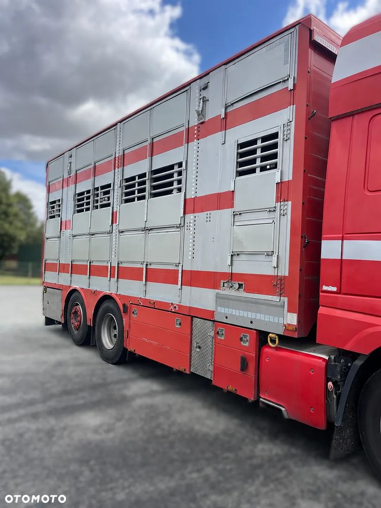 DAF XF 530 6x2 + PEZZAIOLI | Transport zwierząt | 3 poziomy | Podnoszony dach | 2020 - 3