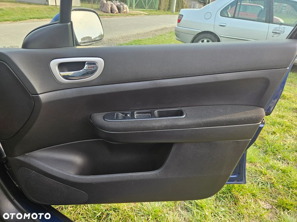 Peugeot 307 2.0 - 26