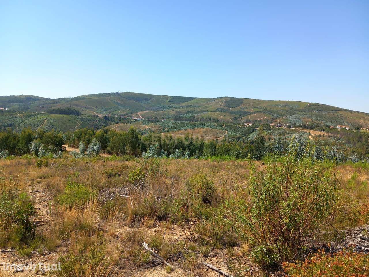 Terreno na Localidade do Roqueiro(Estreito) - Grande imagem: 3/3