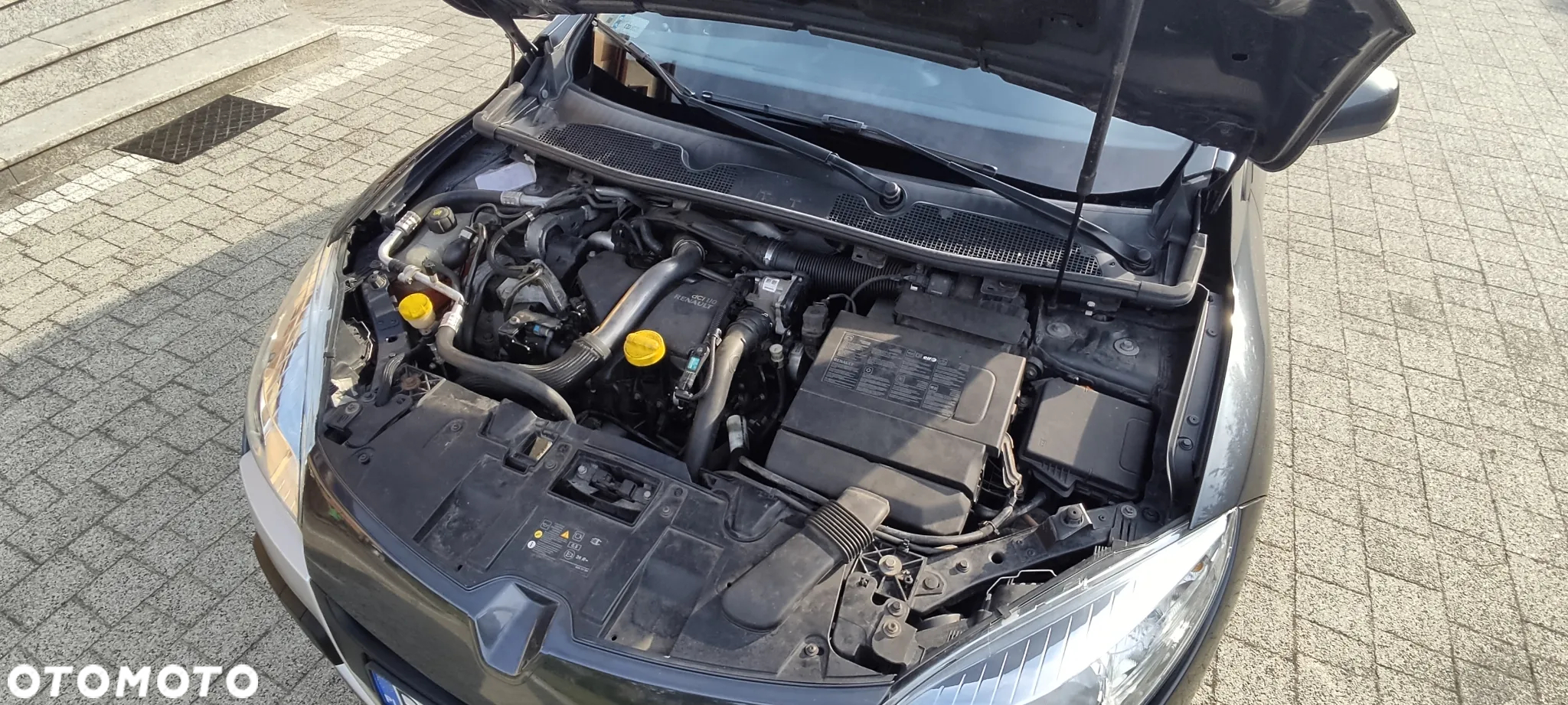 Renault Megane - 28