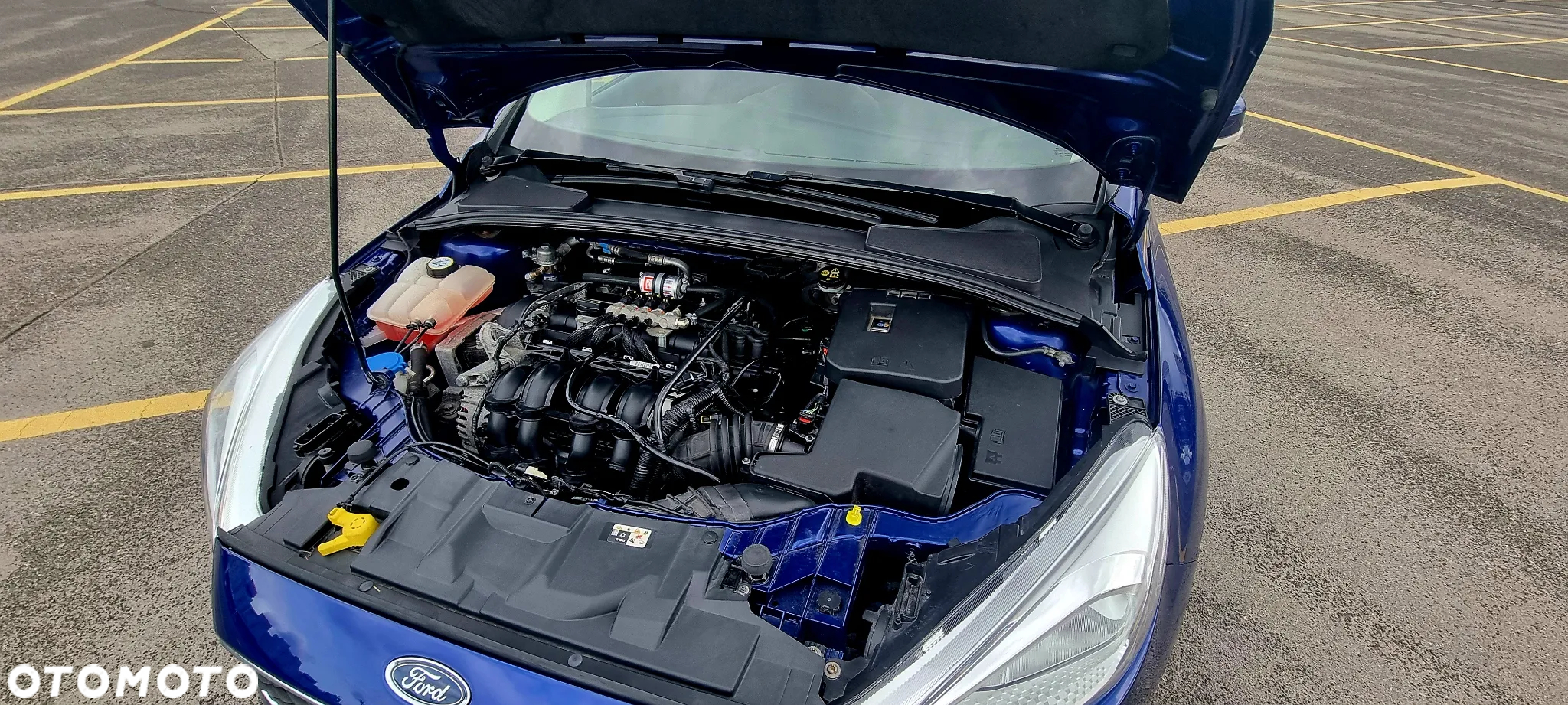 Ford Focus 1.6 FF Trend - 14