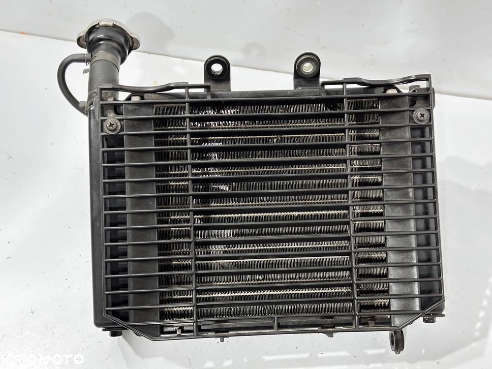 Chłodnica KPL  Daelim Roadsport  125 VJF - 5