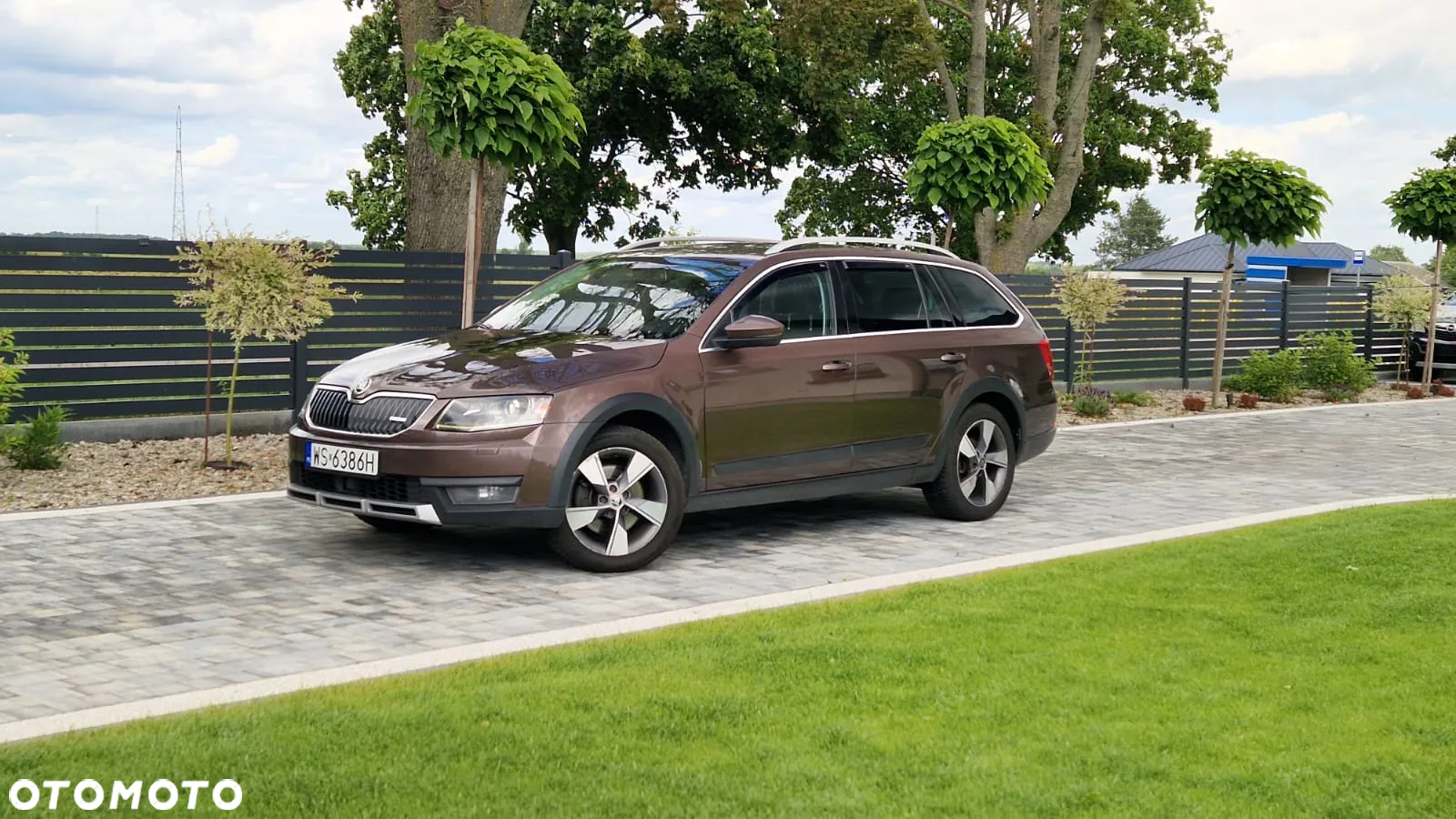 Skoda Octavia Scout 2.0 TDI 4x4 DSG - 2