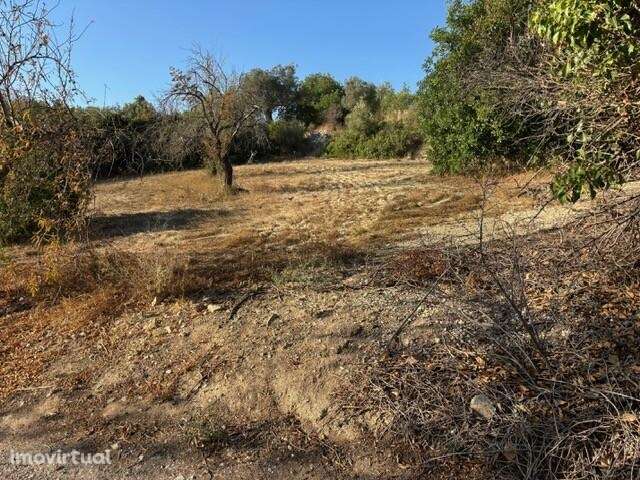 Encantador Terreno Rústico com Vista Mar - Grande imagem: 2/9