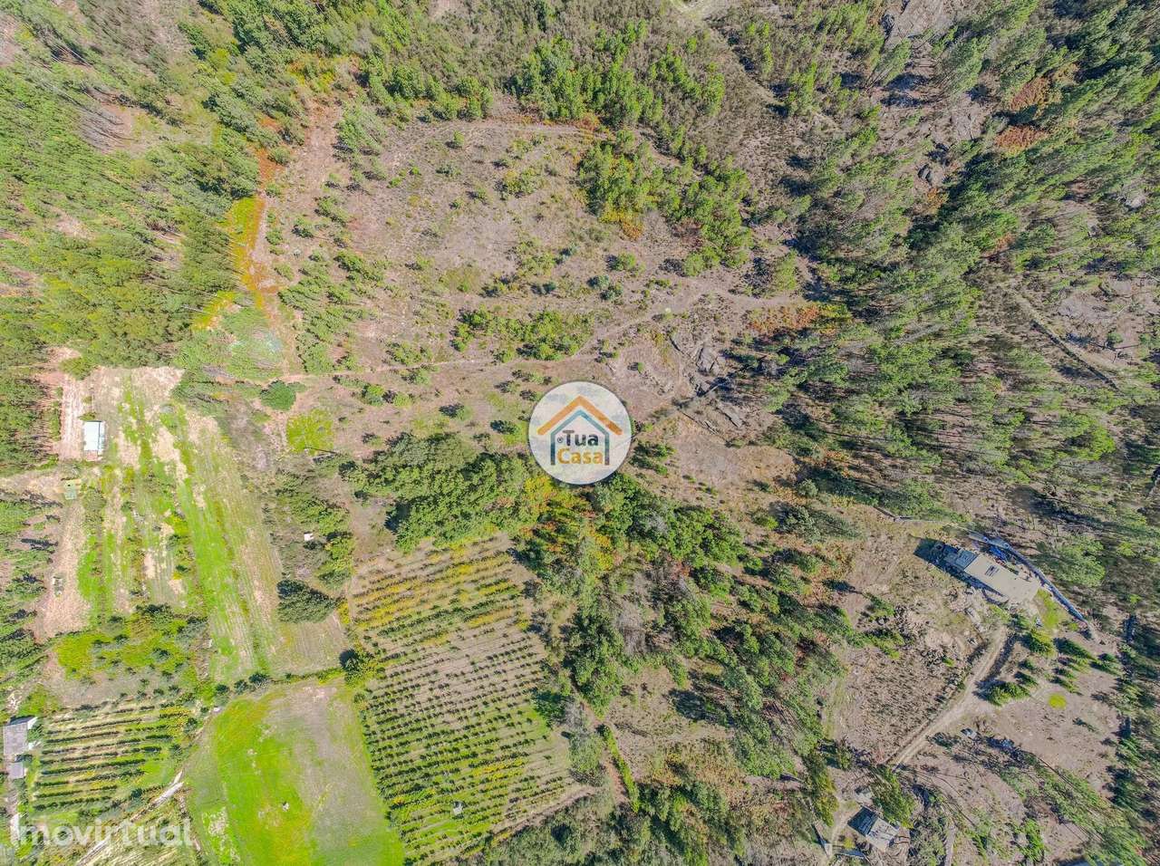 Terreno Rústico em Mangualde - Grande imagem: 2/16