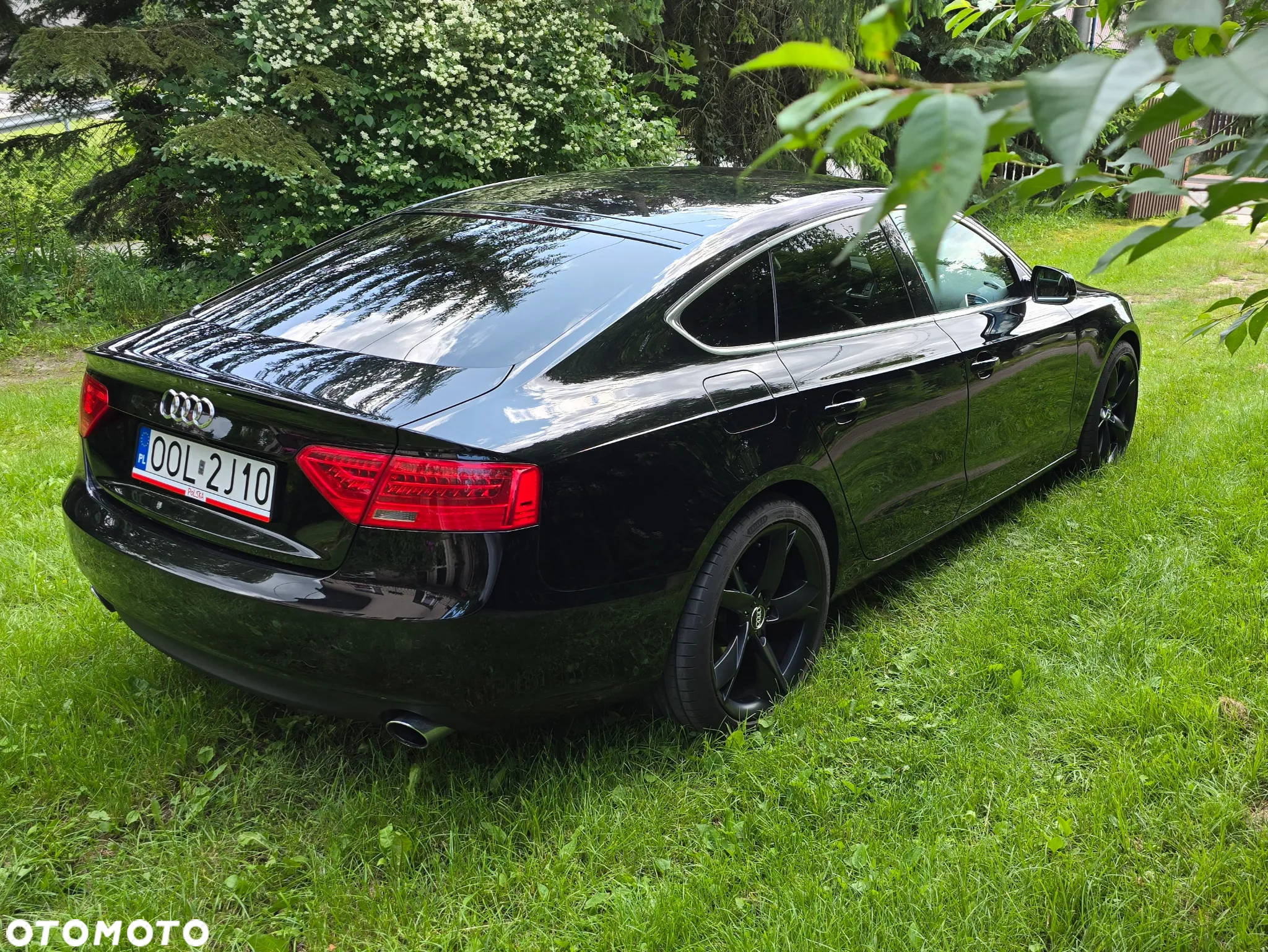 Audi - 3