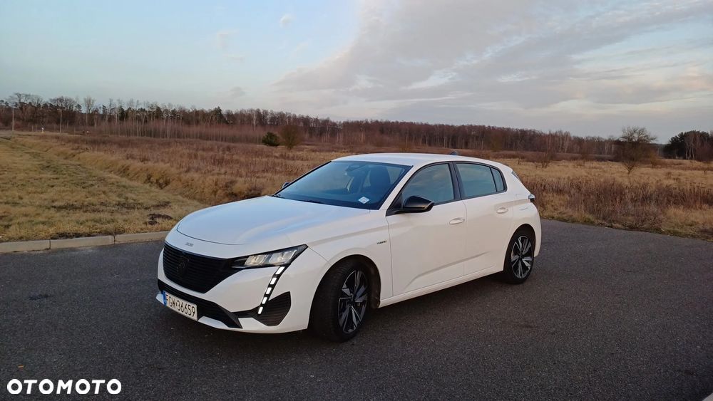 Peugeot 308 1.6 Hybrid PHEV Active Pack EAT8 - 17