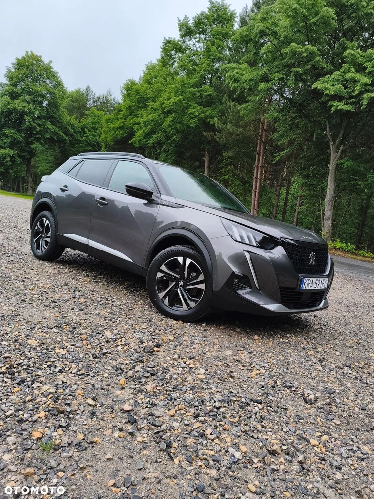 Peugeot 2008 1.5 BlueHDi GT S&S - 19