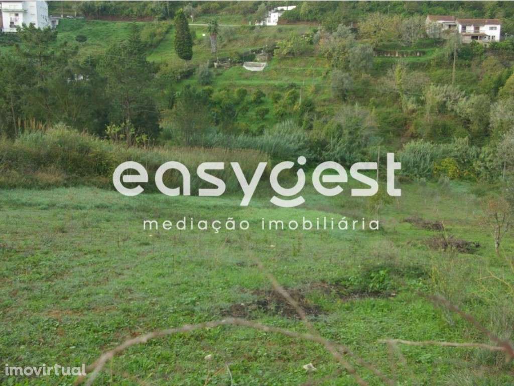 Terreno Coimbra-Pereiros com projeto aprovado para Moradia Bi-familiar - Grande imagem: 4/5