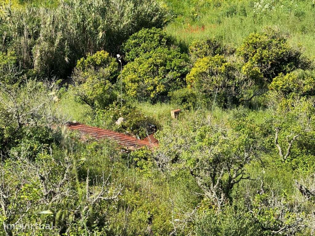Terreno Rustico com 4250m2, no Carvalhal - Grande imagem: 3/9