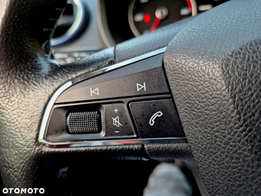 Seat Ibiza - 25