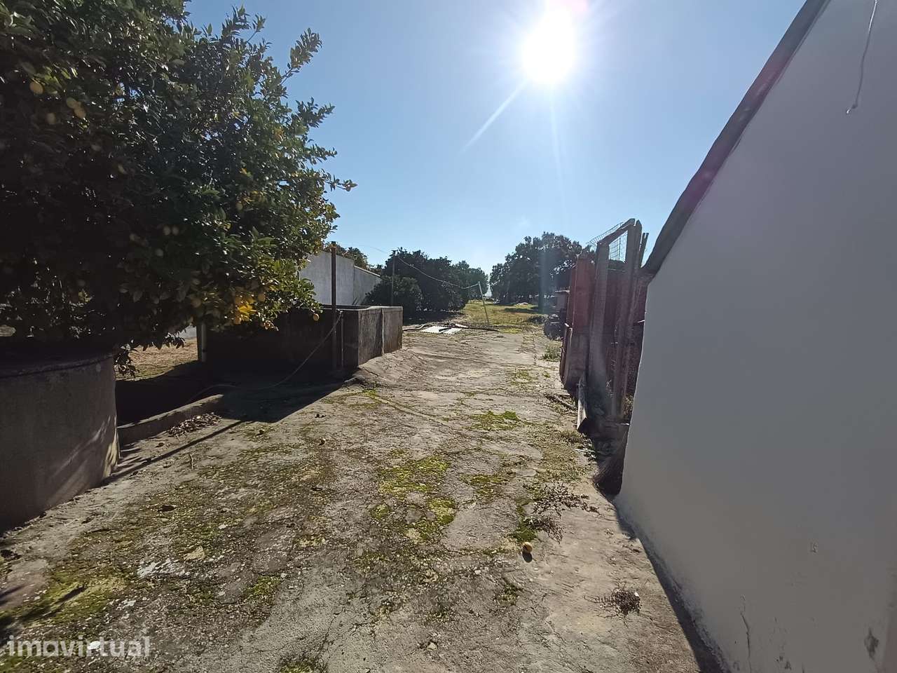 Adega grande para transformar em moradia Dois Portos, Torres Vedras - Grande imagem: 3/4