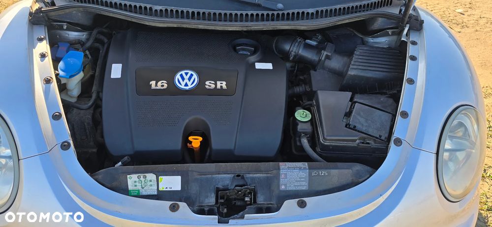 Volkswagen New Beetle - 8