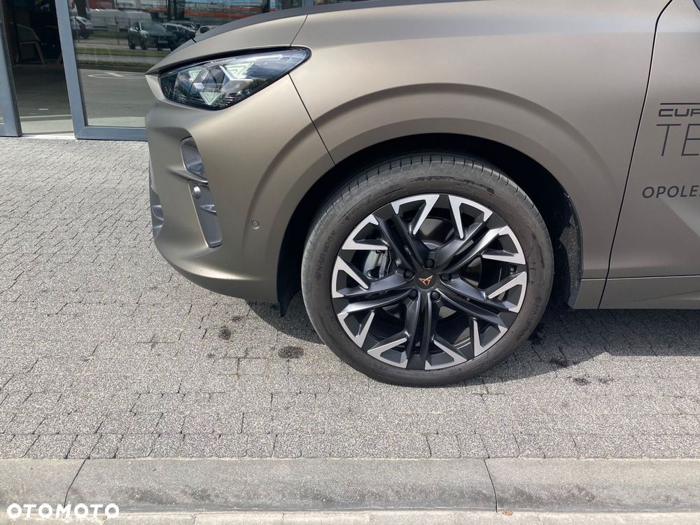 Cupra Terramar - 6
