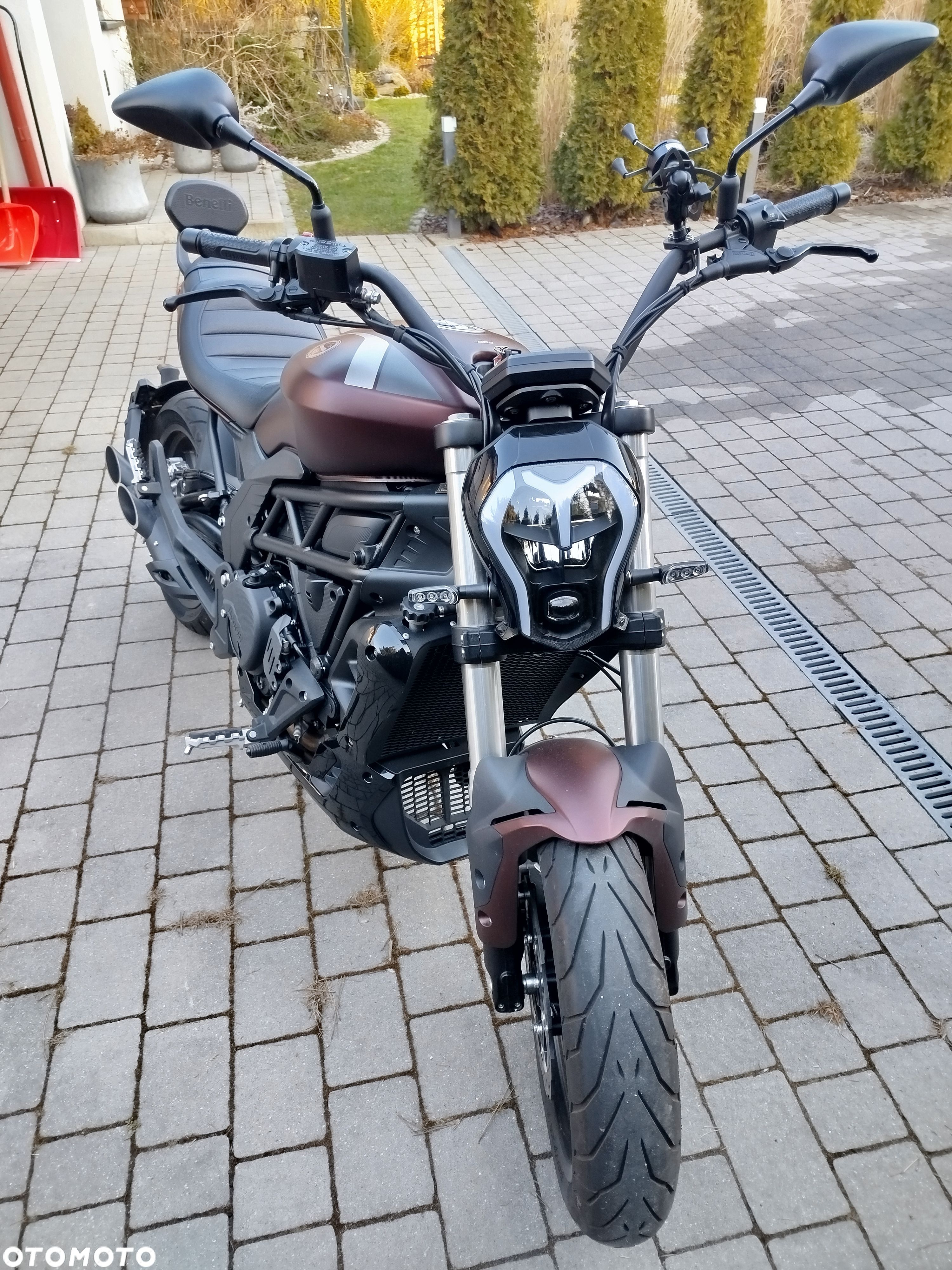 Benelli 502 C - 1