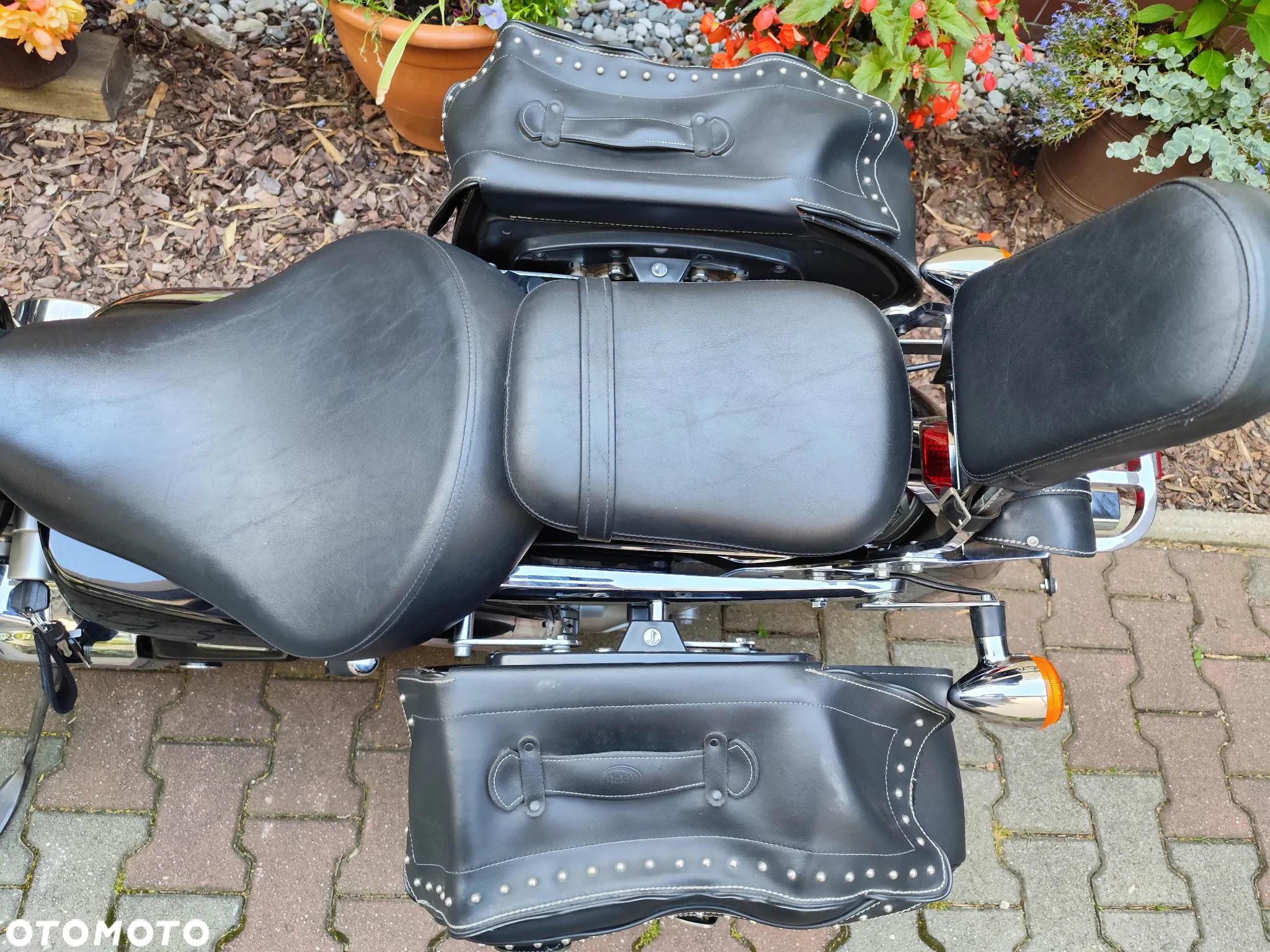Honda Shadow - 27