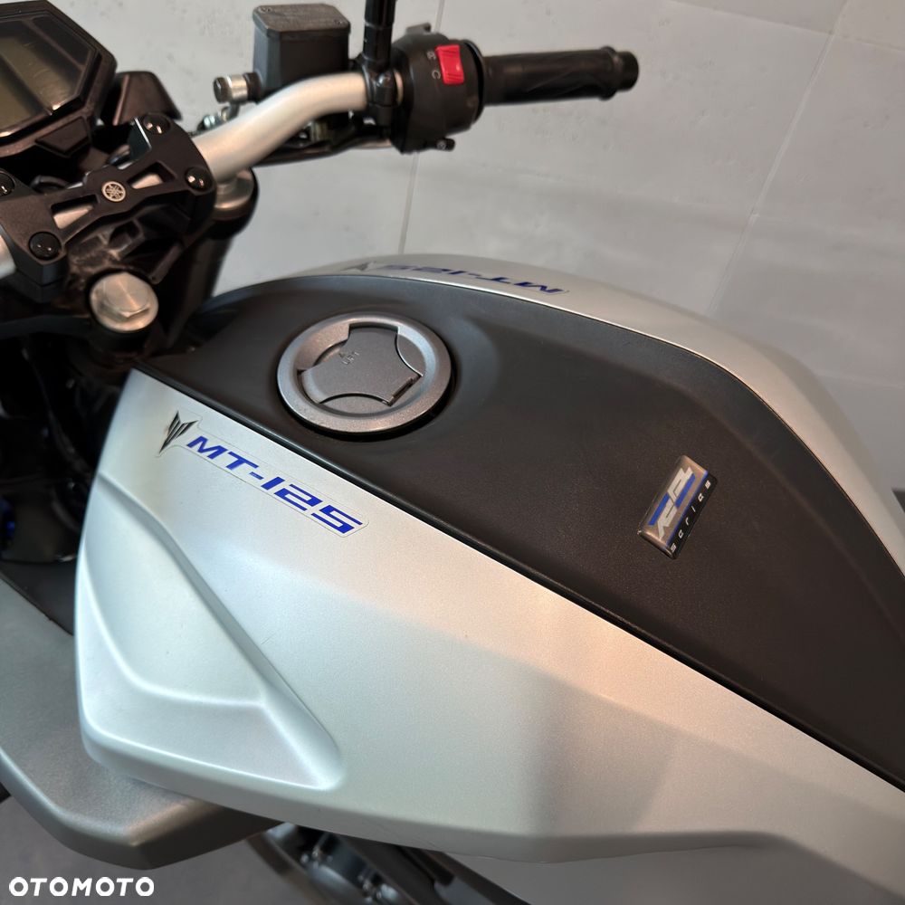 Yamaha MT - 17