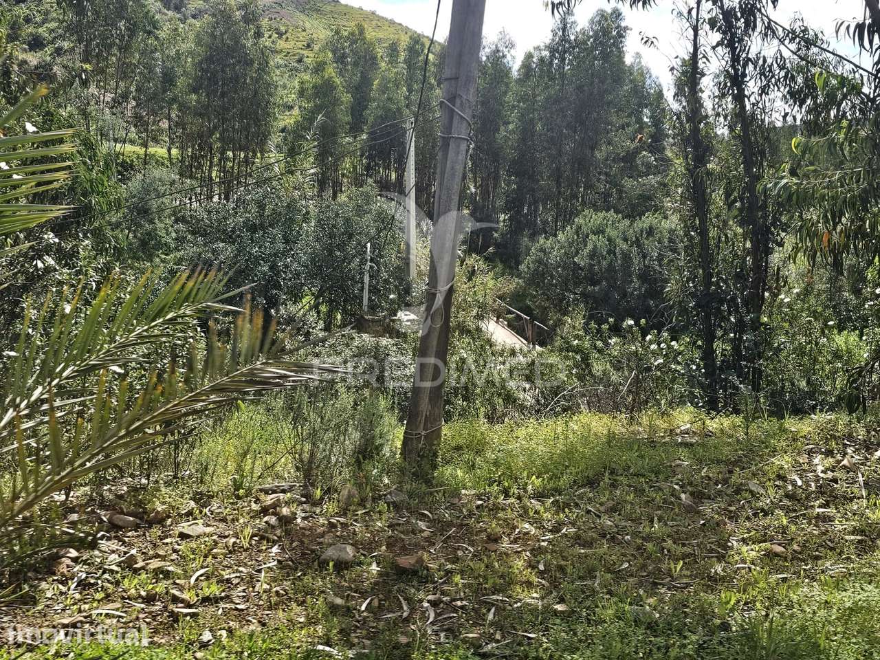 Terreno Rustico c/projeto - Grande imagem: 3/10
