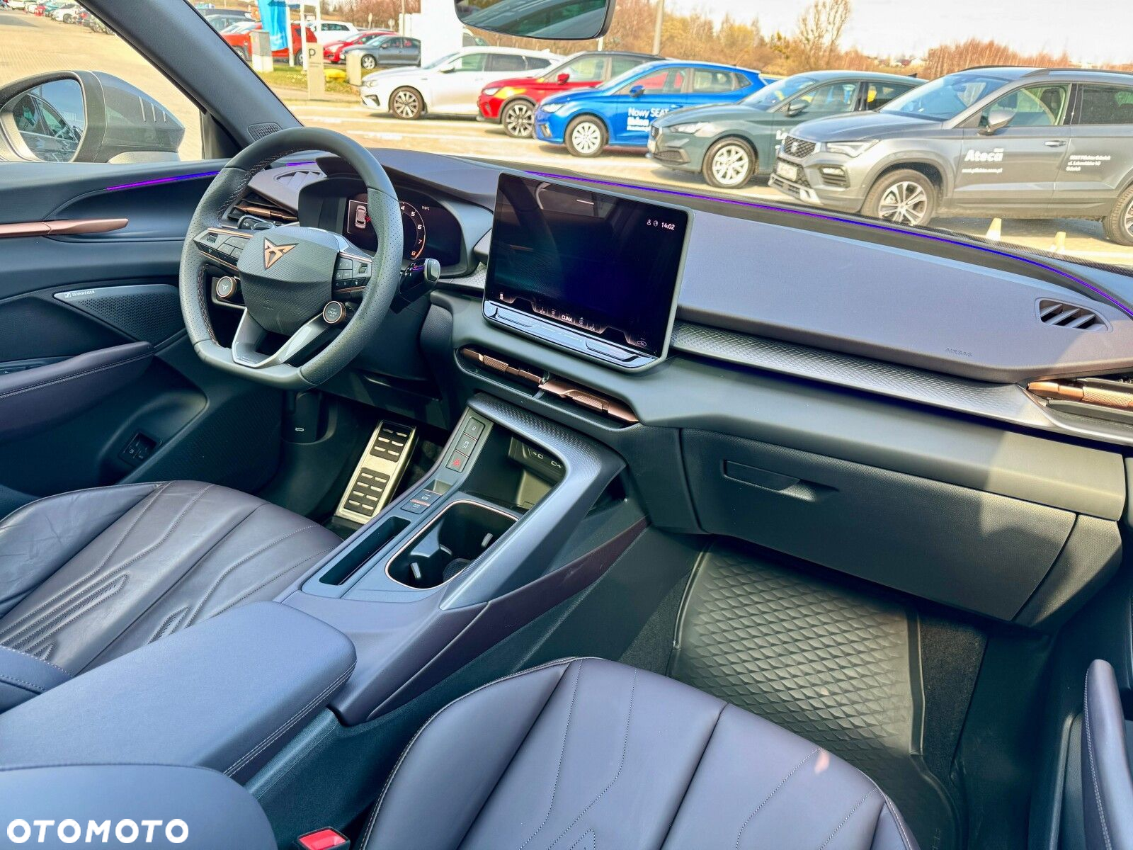 Cupra Terramar - 30