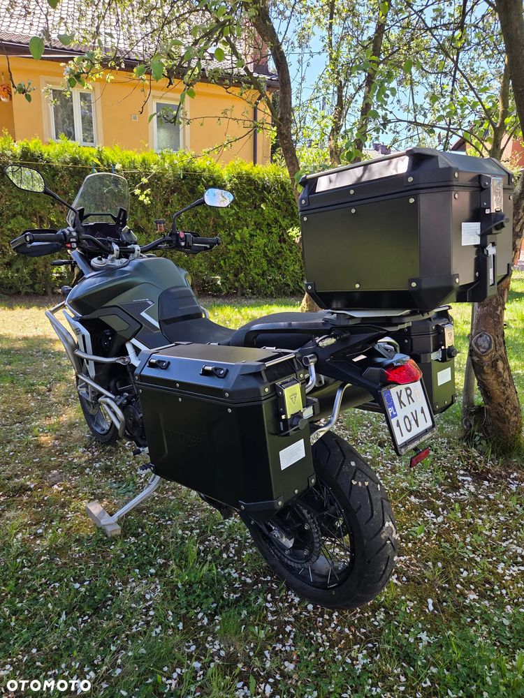 Triumph Tiger - 5