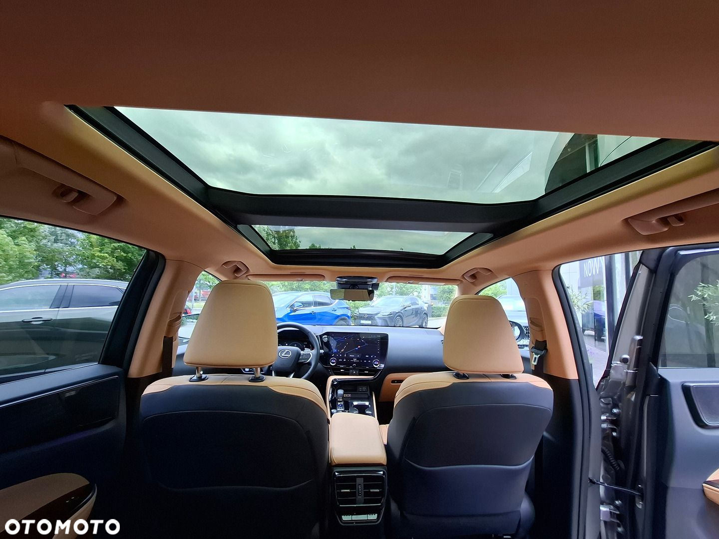 Lexus NX - 29