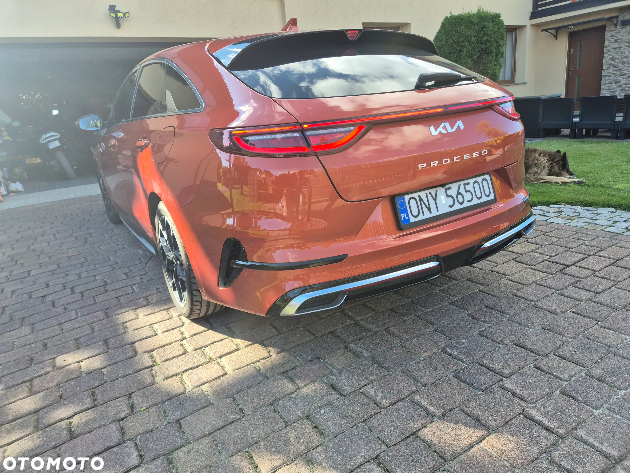 Kia ProCeed 1.5 T-GDI GT Line DCT - 11