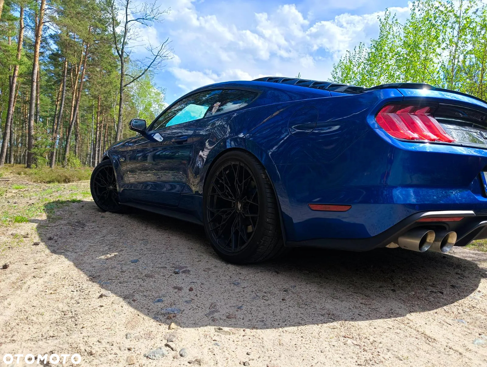 Ford Mustang Fastback 5.0 Ti-VCT V8 MACH1 - 9