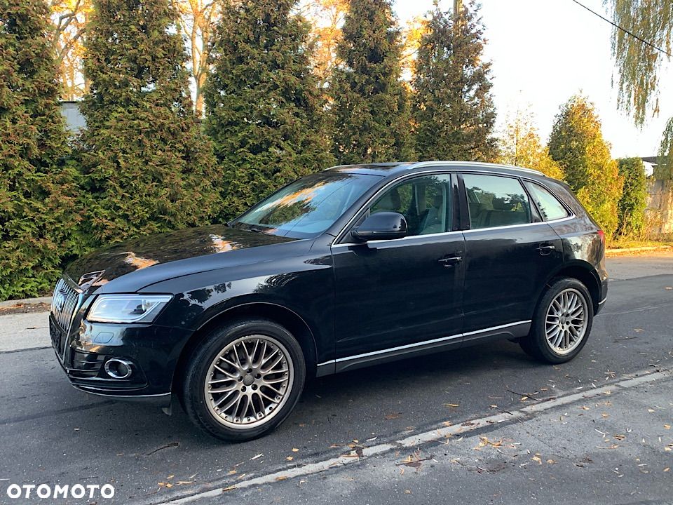 Audi Q5 - 19