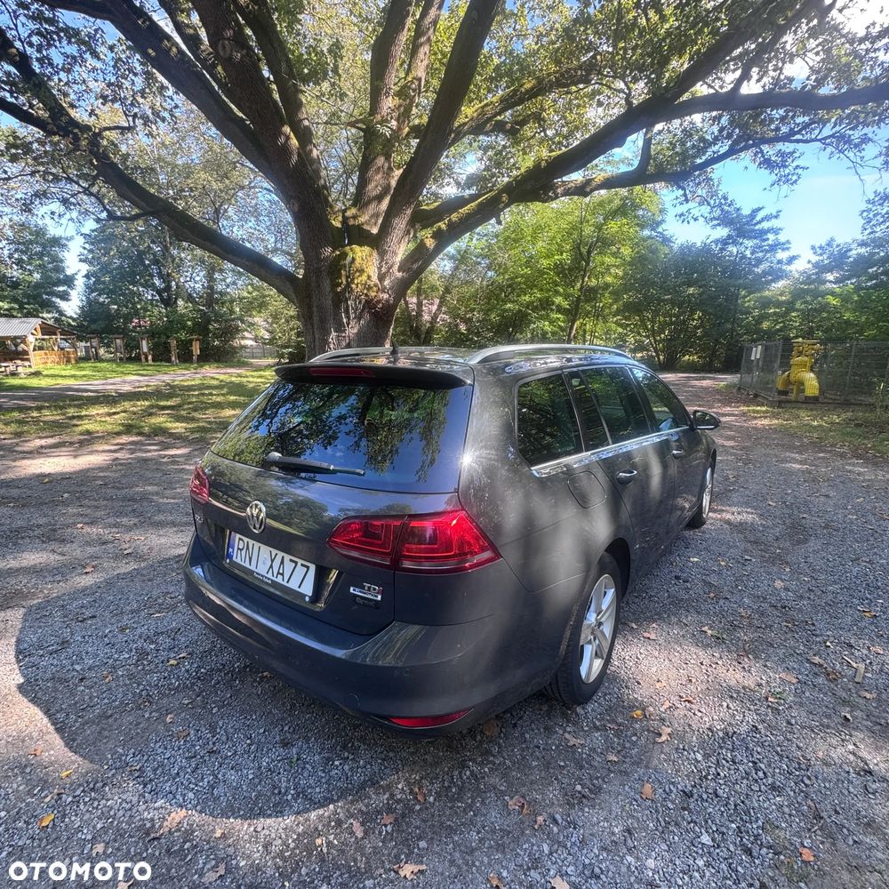 Volkswagen Golf - 7