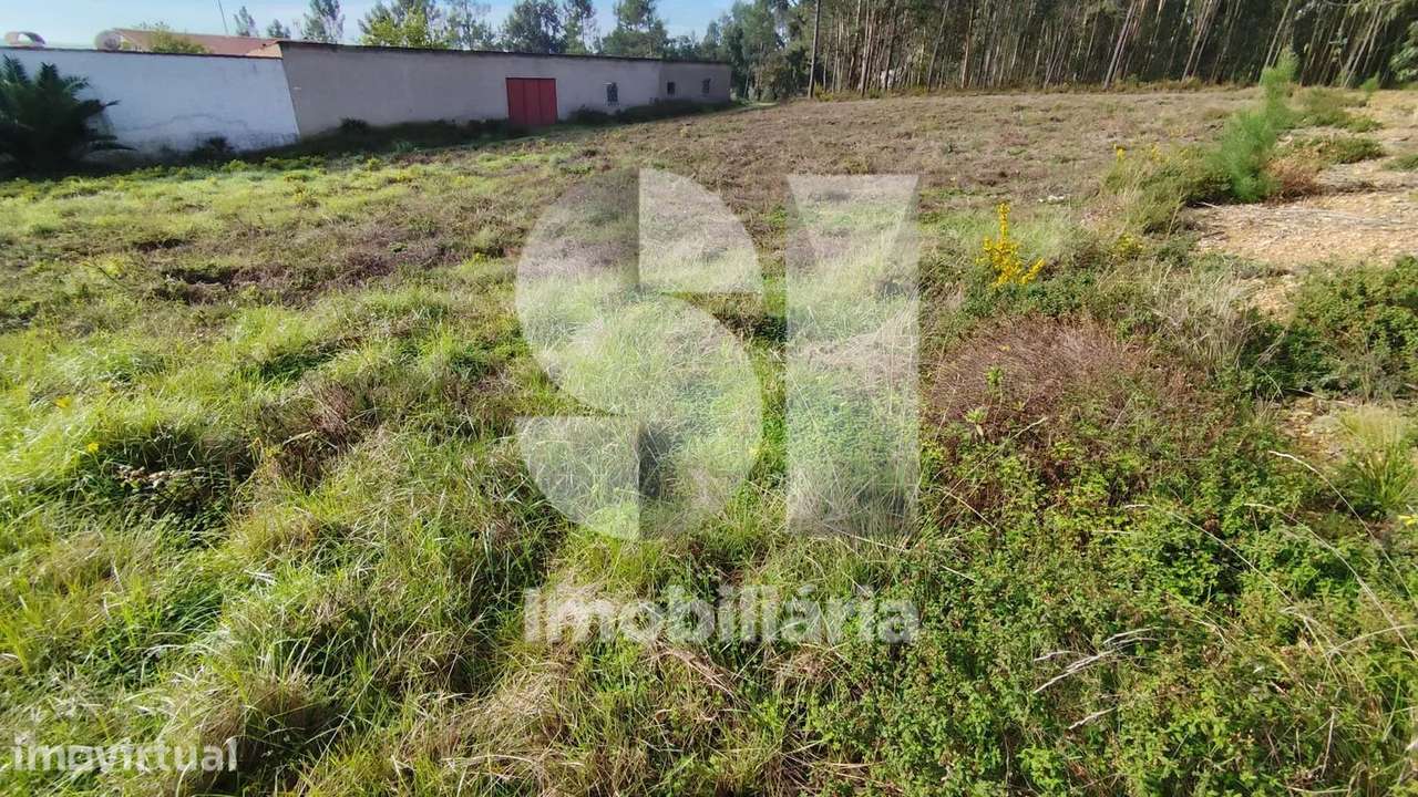 Terreno Urbanizável 1654 m2 60 m de frente voltado a sul Aguim-Anadia - Grande imagem: 5/7