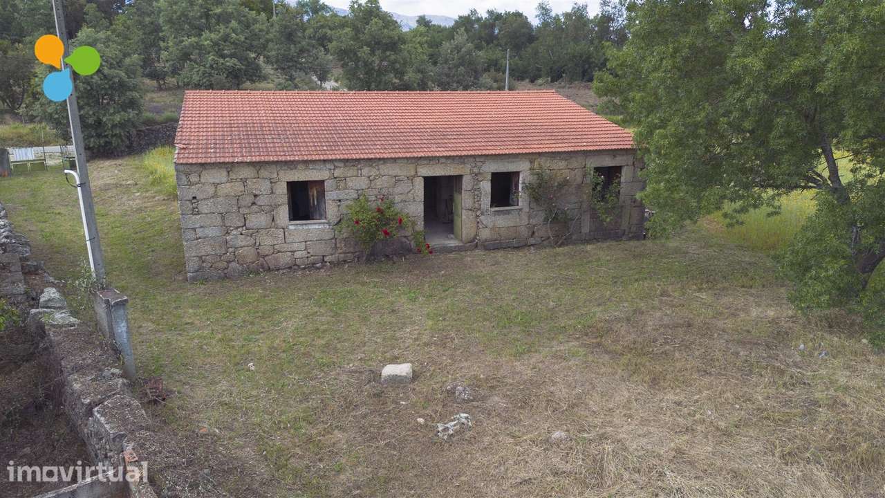 Quinta - Boidobra - Grande imagem: 4/15