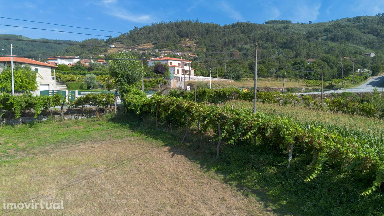Terreno  Venda em Gouveia (São Simão),Amarante - Grande imagem: 4/25