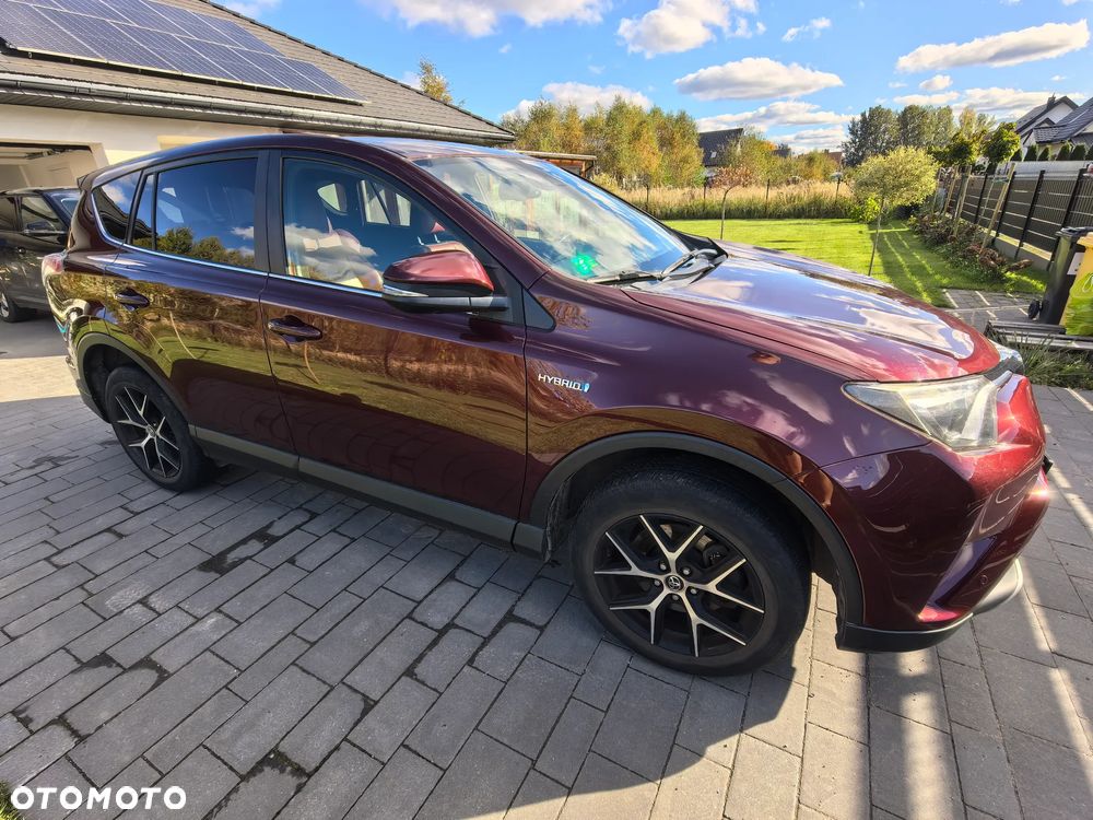 Toyota RAV4 Hybrid Premium 4x2 - 8