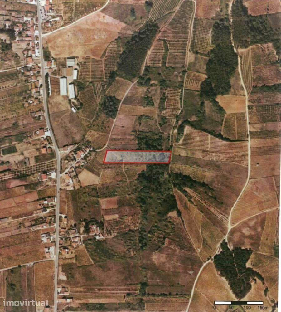 Terrenos em Painho/Cadaval -  Oportunidade de Investimento para agricu - Grande imagem: 2/8