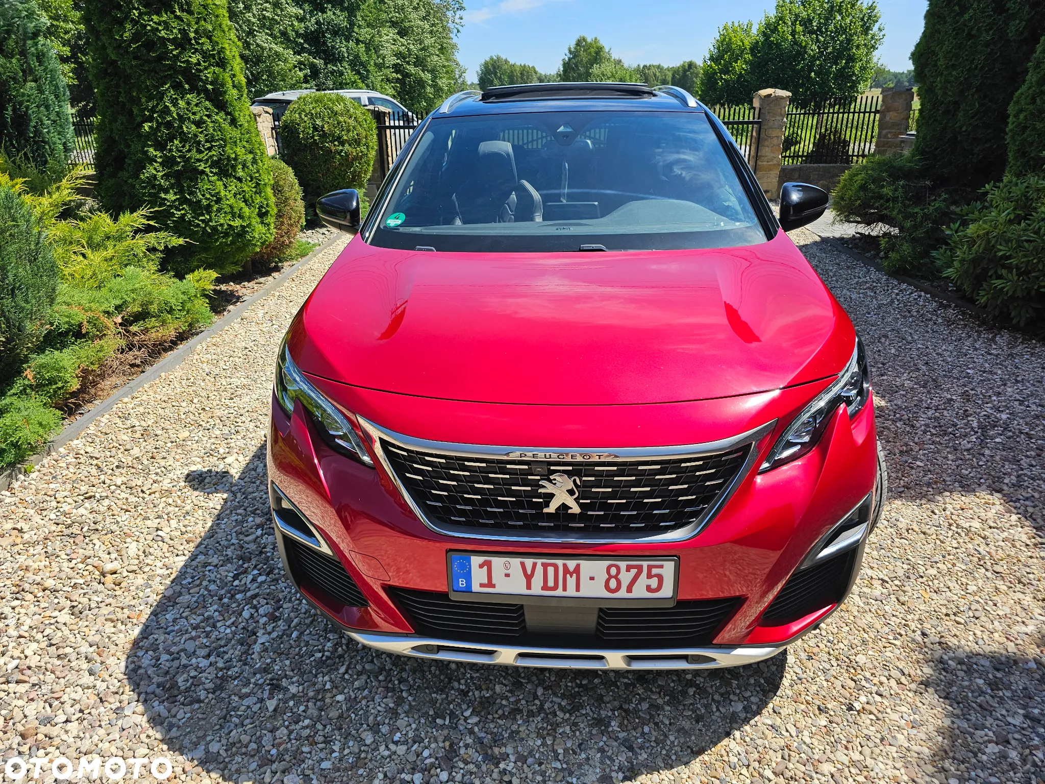 Peugeot 3008 1.5 BlueHDi GT Pack S&S EAT8 - 7