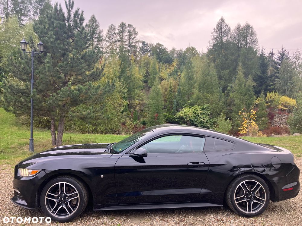 Ford Mustang 2.3 EcoBoost - 2