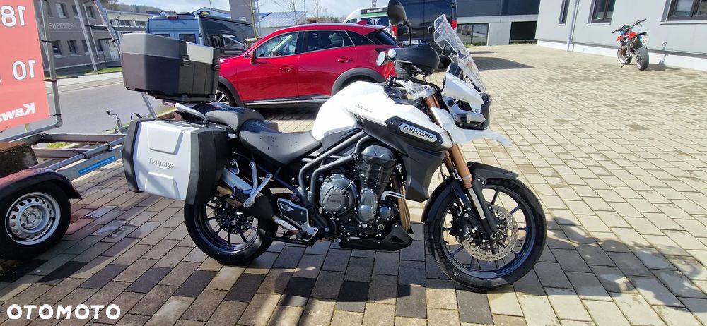 Triumph Tiger - 1