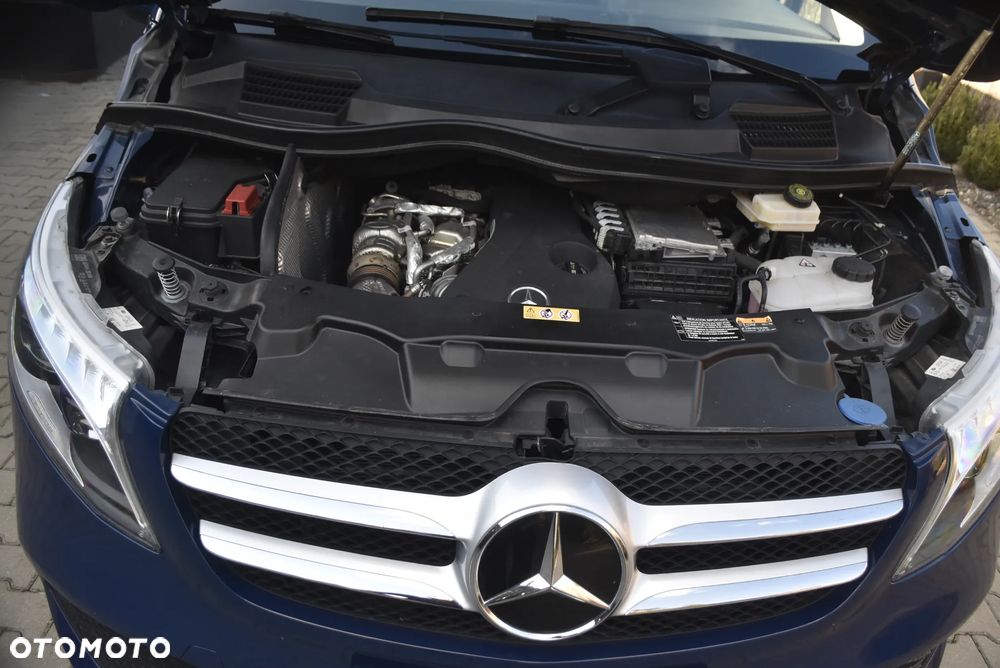 Mercedes-Benz Marco Polo - 26