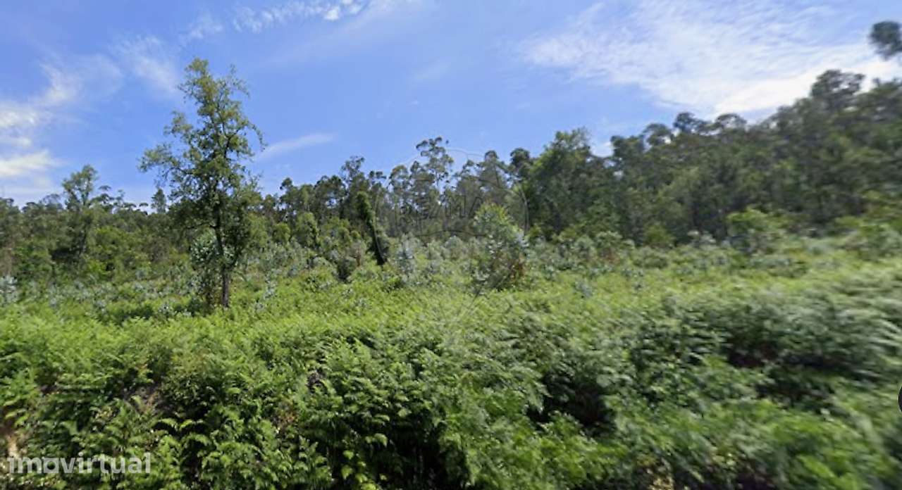 Terreno  para venda - Grande imagem: 2/3