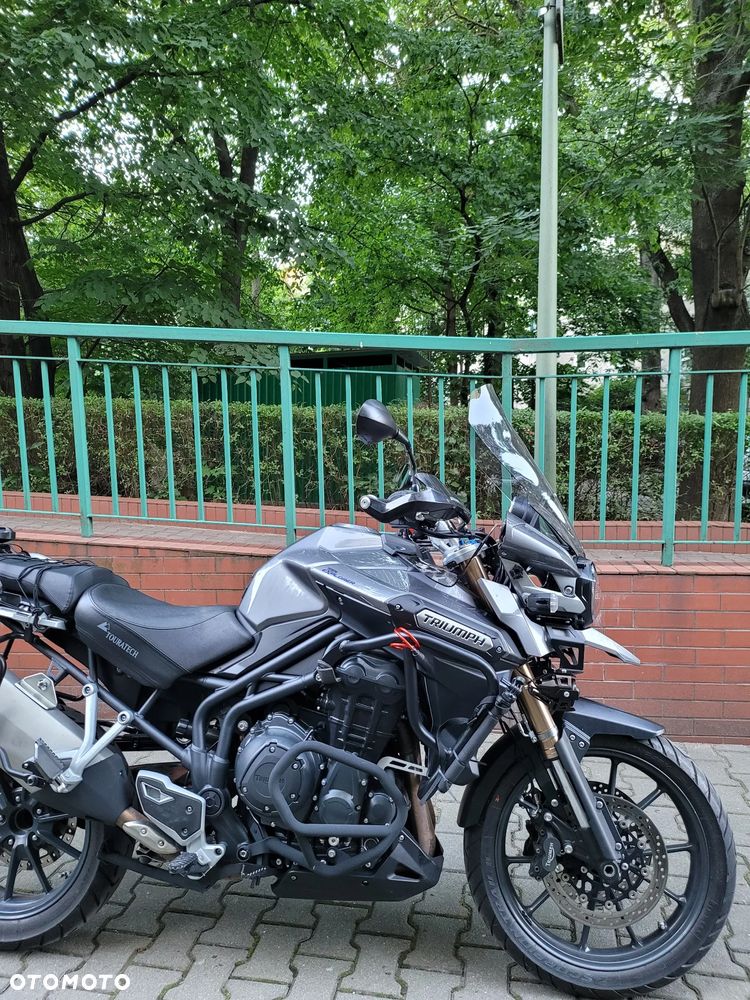 Triumph Tiger - 6