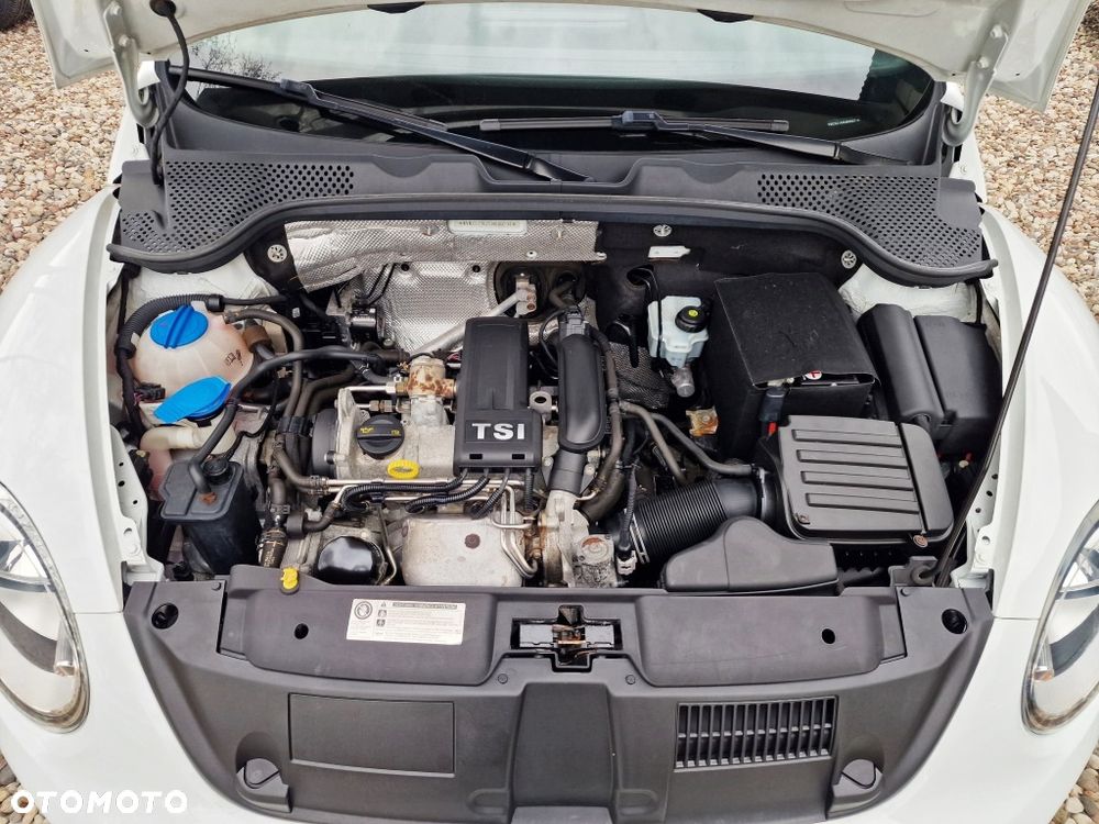 Volkswagen Beetle - 18