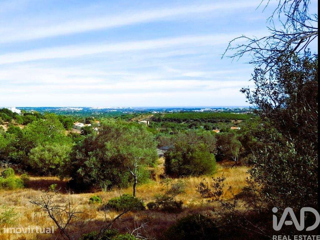 Quinta rural em Paderne de 85 m2 - Grande imagem: 3/21