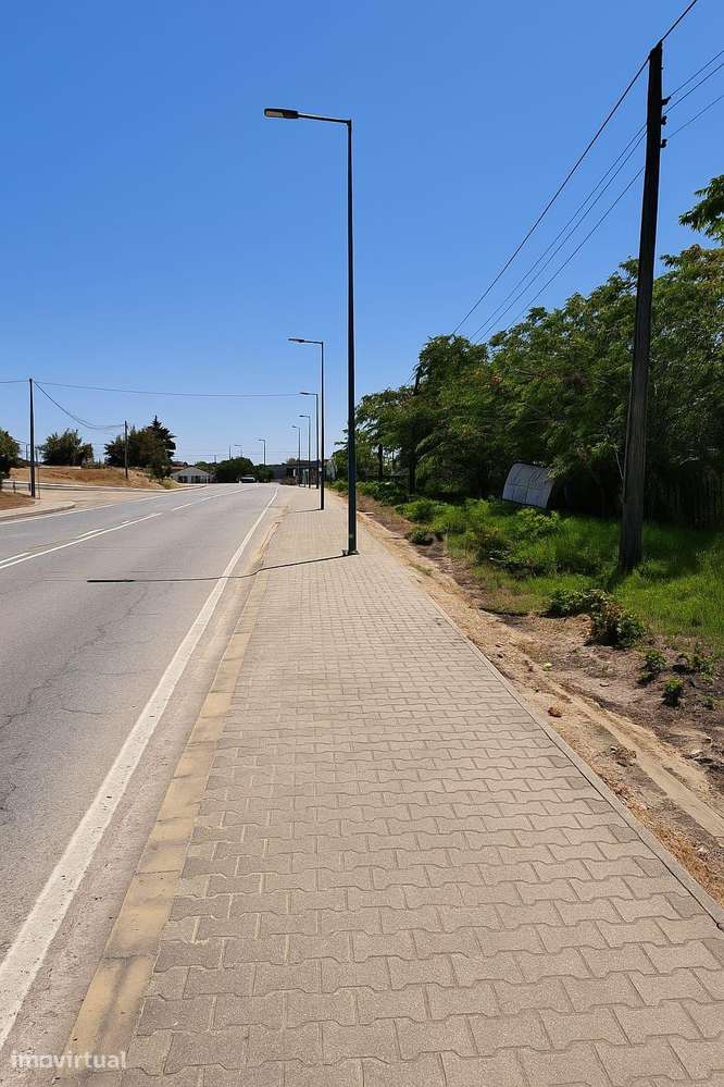Terreno em Alcácer do Sal com 11.000m2 – Oportunidade Única para Inves - Grande imagem: 5/6